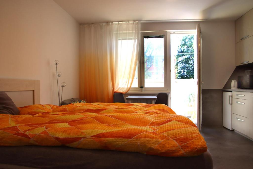 Garsonka Ostrava room 2