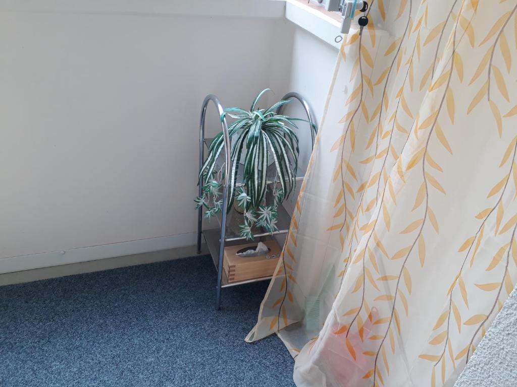Garsonka Ostrava room 5